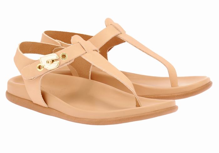 Sandales Bride Arrière Ancient Greek Sandals Alki Flip Flop   | PAM-7976118